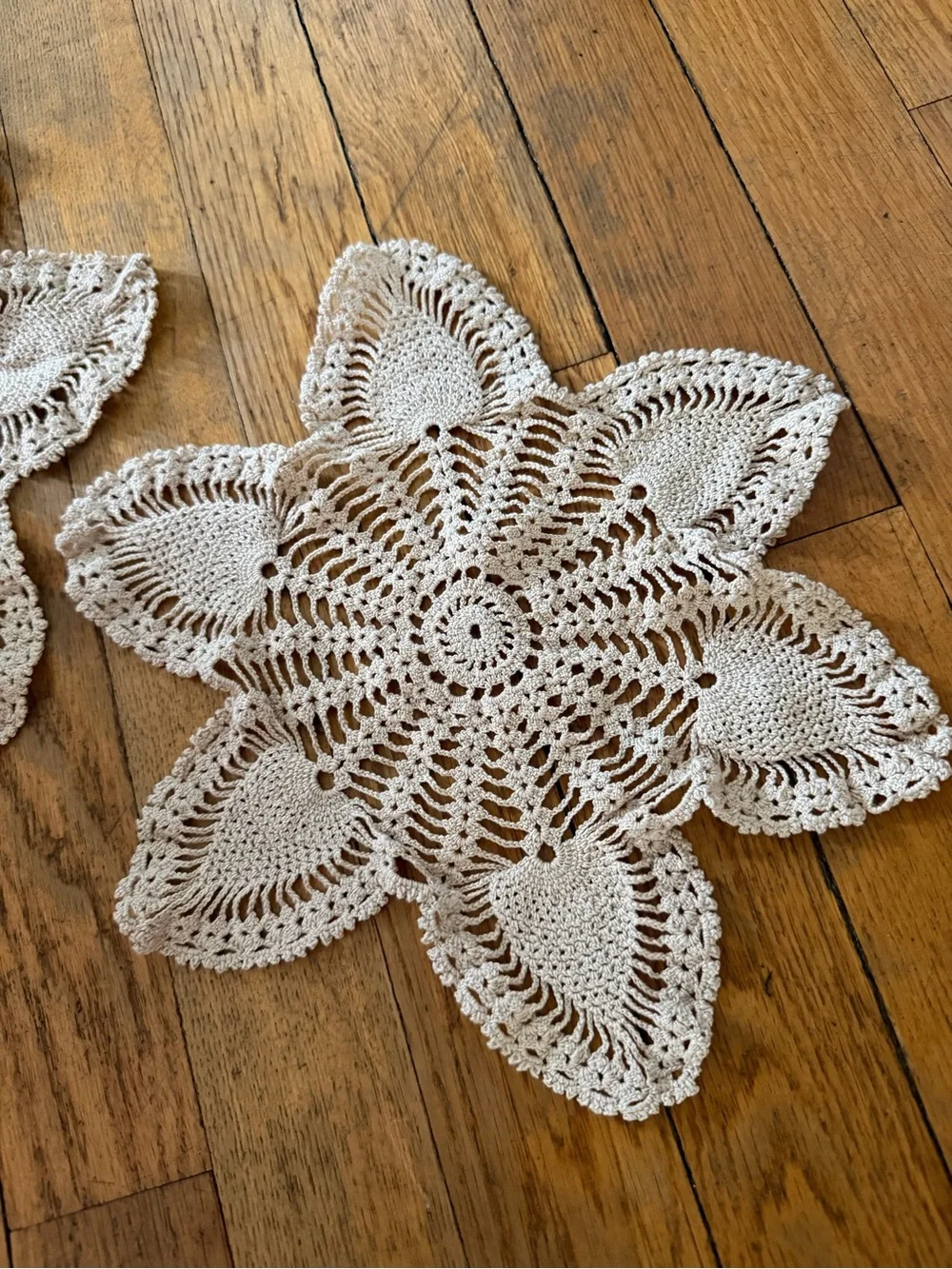 Handmade Crocheted Floral Doilies Pair in Cream